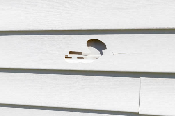 James Hardie Siding in Funny River, AK