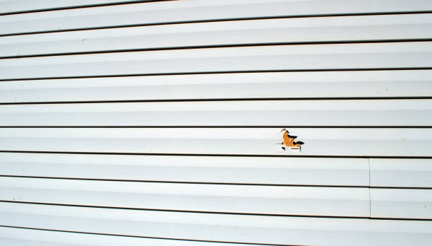 Best Steel Siding Installation  in Funny River, AK